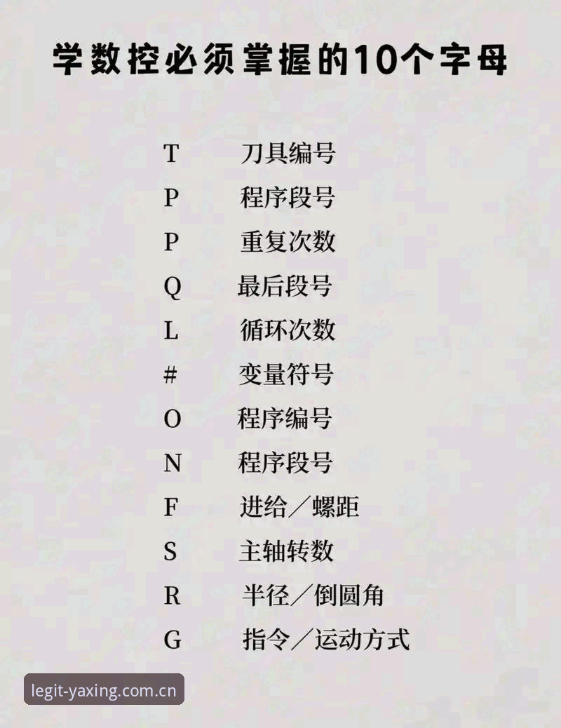 资深用户分享：亚星官方网站教程，从入门到精通的实战经验