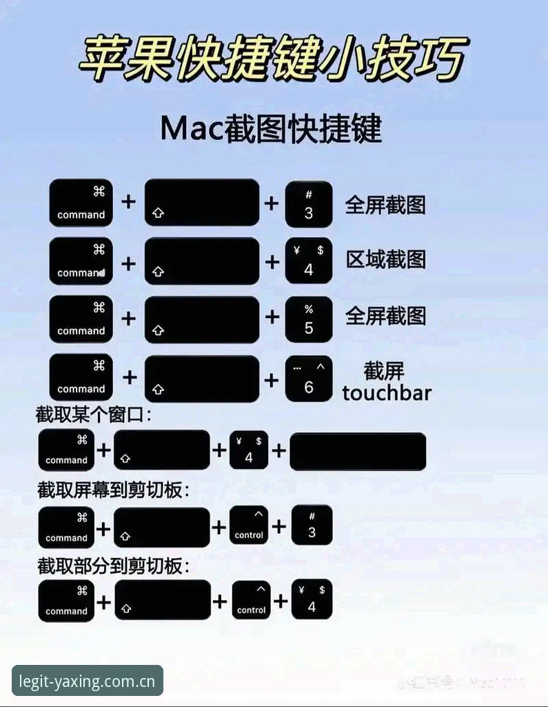 亚星官网使用教程：从入门到精通的操作指南
