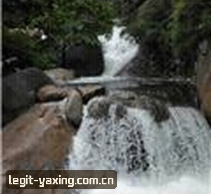 赵明